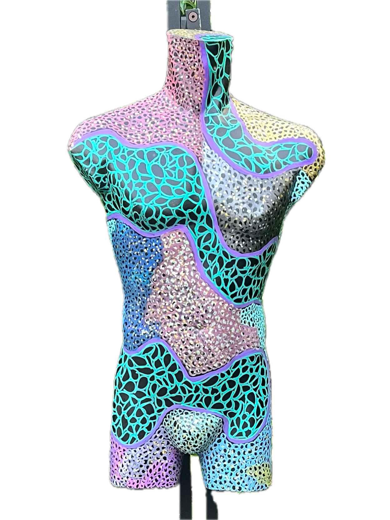 APOLLO
